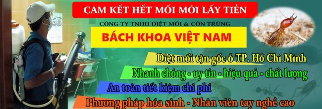 Công Ty Bách Khoa cung cấp thuốc diệt mối được Bộ Y tế cấp phép và đảm bảo hiệu quả của chúng | Nguồn: Công Ty Bách Khoa