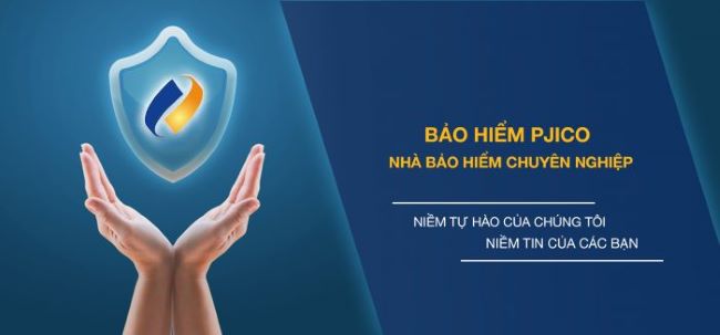 Bảo hiểm Petrolimex luôn hỗ trợ người tiêu dùng đưa ra các quyết định liên quan đến duy trì sức khỏe, mở rộng tài sản và chuẩn bị cho tương lai | Nguồn: Bảo hiểm Petrolimex