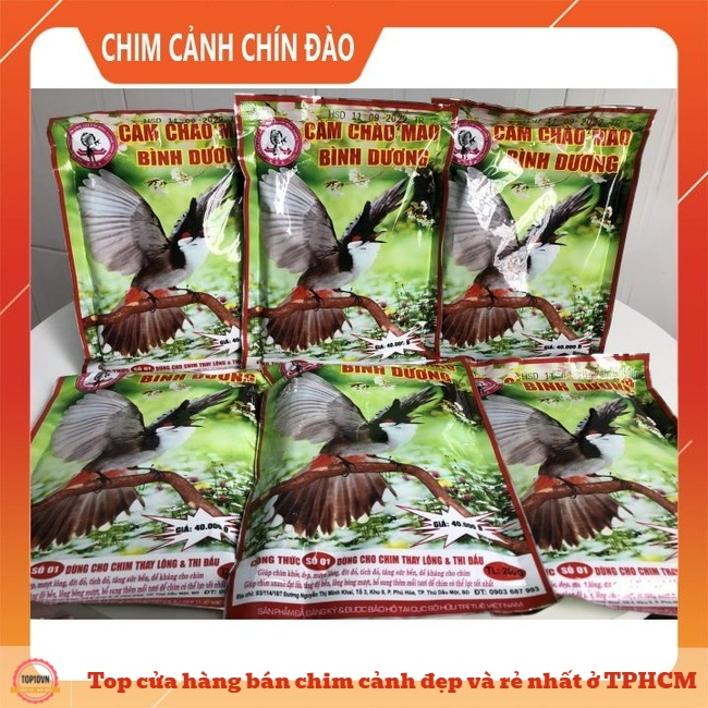 Chim cảnh Chín Đào được cho là nơi tổng hợp nhiều loài chim với nhiều màu sắc khác nhau | Nguồn: Chim cảnh Chín Đào