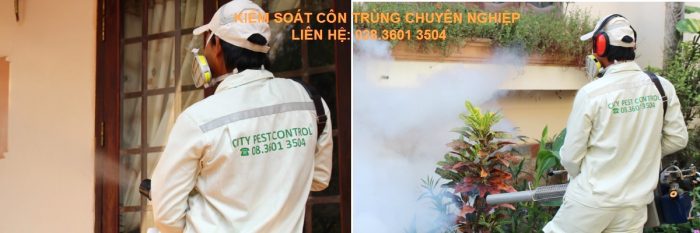 Công ty diệt muỗi chuyên nghiệp tai tphcm City Pest Control