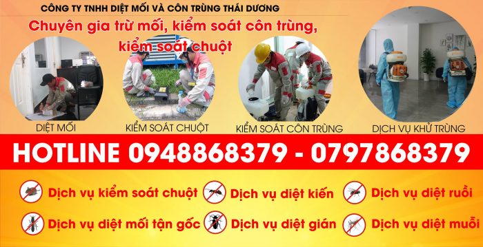 Công ty diệt muỗi tại tphcm Thái Dương