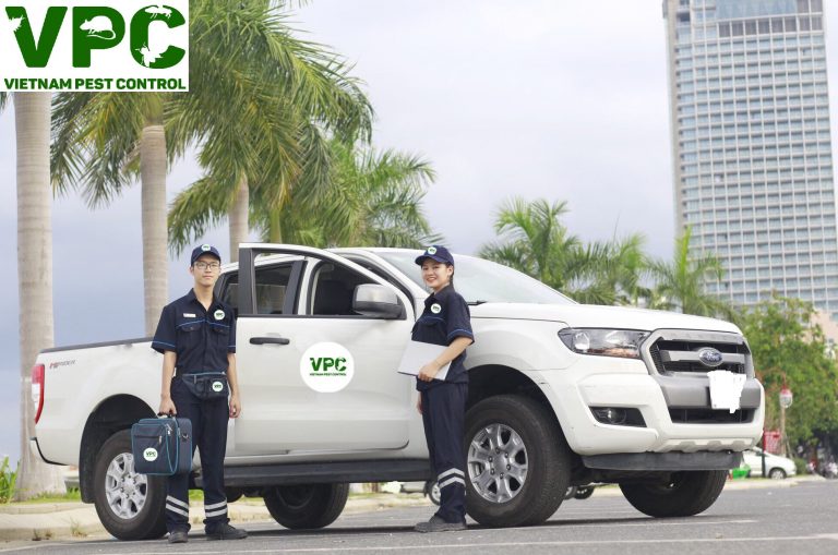 Dịch vụ diệt muỗi hcm chuyên nghiệp tại Kiểm Soát Côn Trùng Việt Nam VPC