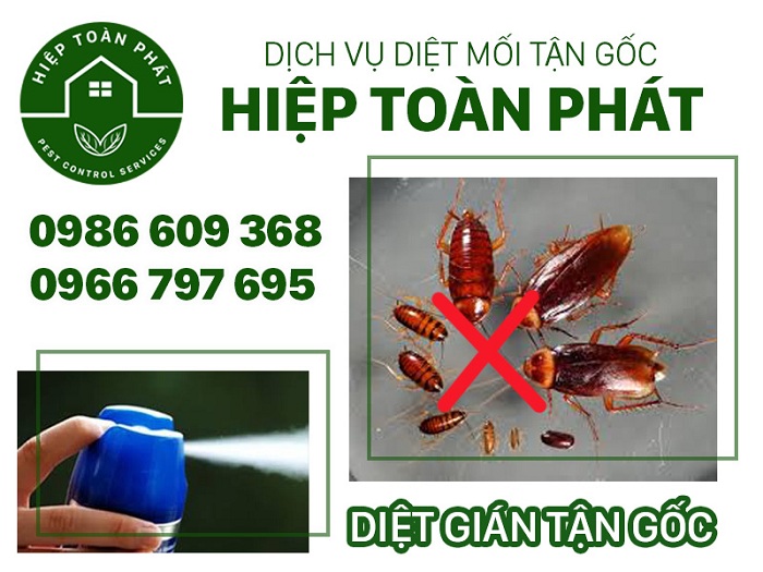 dịch vụ diệt côn trùng Bình Dương