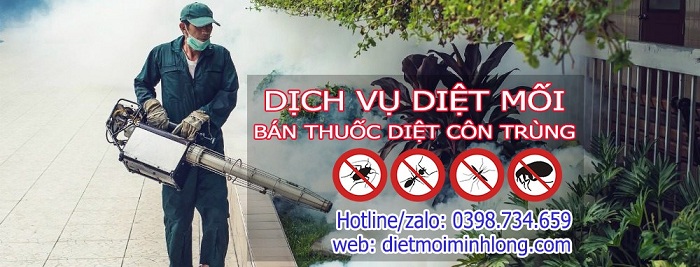 dịch vụ diệt côn trùng Bình Dương