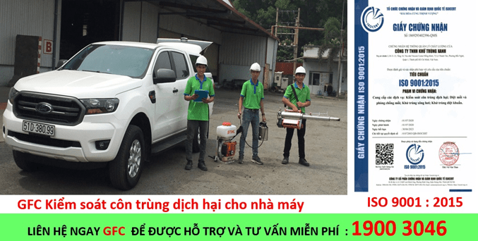 Công ty diệt gián tphcm Khử Trùng Xanh