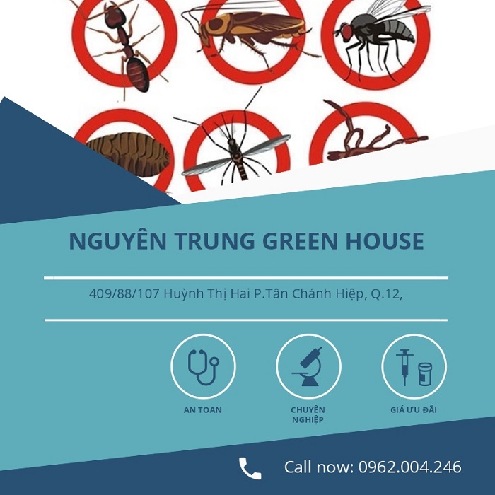 Công ty diệt gián tphcm Nguyên Trung Green House