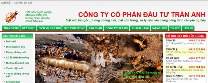 công ty diệt côn trùng ở Hà Nội- nguồn: internet