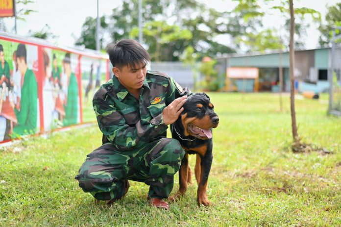 trường trung tâm huấn luyện chó tphcm