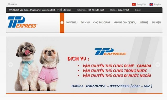 Dịc vụ vận chuyển thú cưng - nguồn: công ty vận chuyển TTP Express