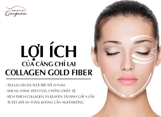 Collagen Gold Fiber, “đứa con” tuyệt vời của cả hai, giúp đánh tan mọi hạn chế và đạt đến một tầm cao mới trong việc trẻ hóa - giảm nếp nhăn | Nguồn: Mega Gangnam