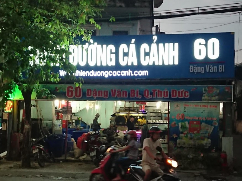 Shop cá cảnh TPHCM - Thiên Đường Cá Cảnh | Nguồn: Thiên Đường Cá Cảnh