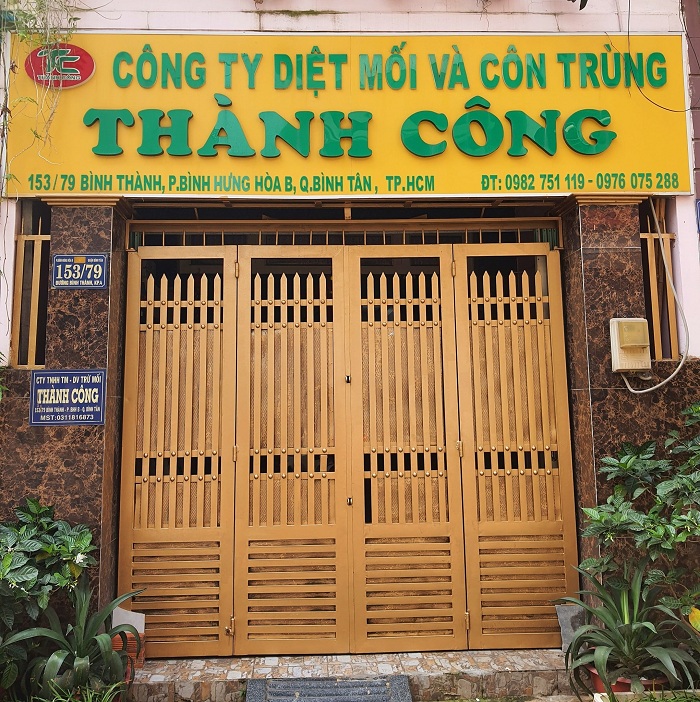 Công Ty diệt mối tại tphcm Thành Công