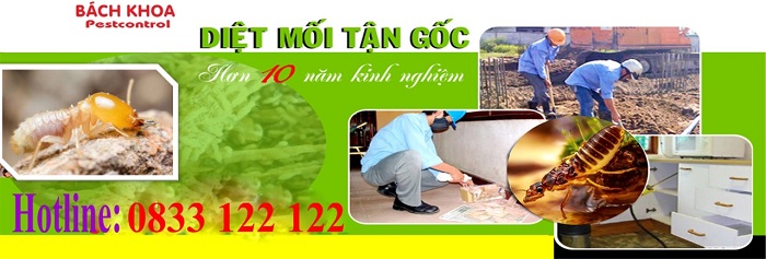 Công ty diệt mối uy tín Bách Khoa Việt Nam