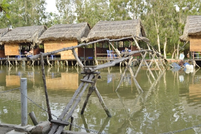 Hồ câu cá giải trí Làng Tre có rất nhiều loài sinh vật, bao gồm cá hồi, cá trê cũng như cá chép và cá anh vũ | Nguồn: Hồ câu cá giải trí Làng Tre