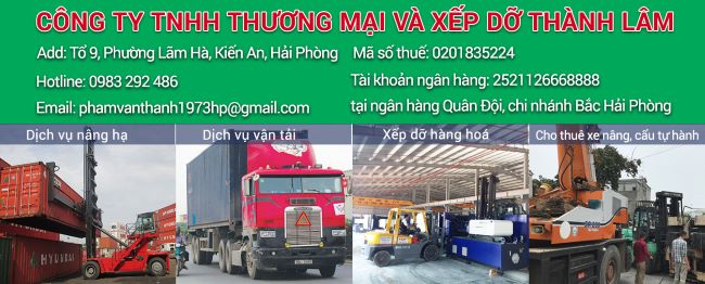 Thành Lâm có nhiều năm kinh nghiệm trong lĩnh vực cho thuê xe nâng | Nguồn: Thành Lâm