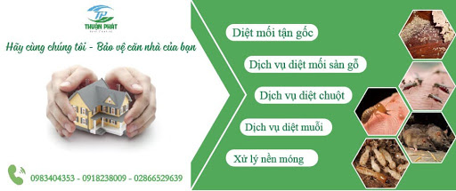 Các dịch vụ mà Thuận Phát cung cấp